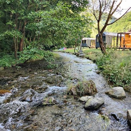 Transfagarasan River Retreat อาเรฟู ภายนอก รูปภาพ